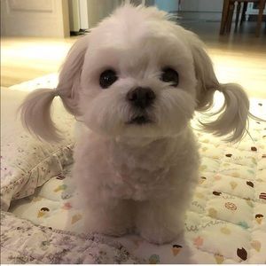 Meet your Posher, Sandra